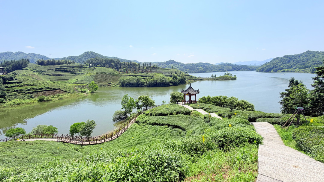 中秋还剩12天,秋天上架的瓜片全是春天的茶:我把9张电商瓜片价签、