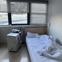 秋乏睡不醒、打呼打到"分房睡"：我把1.76亿人的患病账、550元一晚的监测流程和几千到上万的呼吸机晒价翻了一遍——要不要查、报告怎么看、值不值、哪些钱白花，一次说清