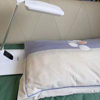 四月射频新规把大排灯捧上C位：对完19条批量矩阵帖、2584条评论、一篇黄斑损伤通报和一张波段表，双11第一盏灯付钱前，先分清你买的是什么光