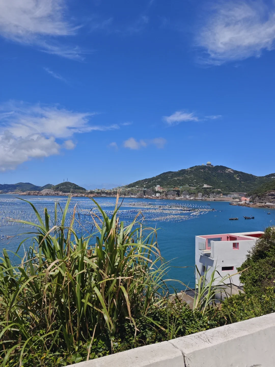 东海9月16日12时开渔：江浙沪人赶海最划算的9天，不在开渔当天，也不在国庆