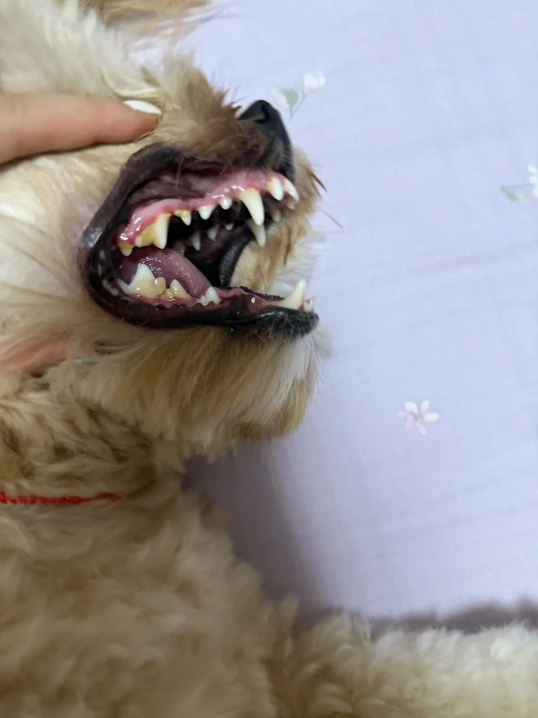 9月