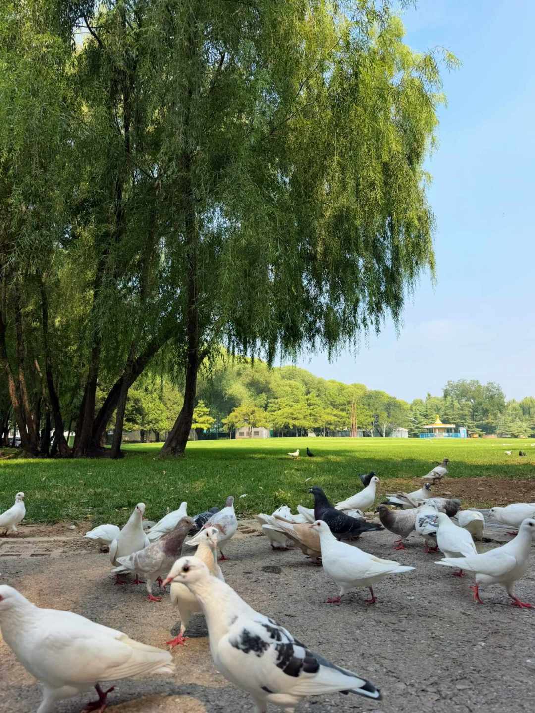 中秋遛娃的新赛道,是带娃去