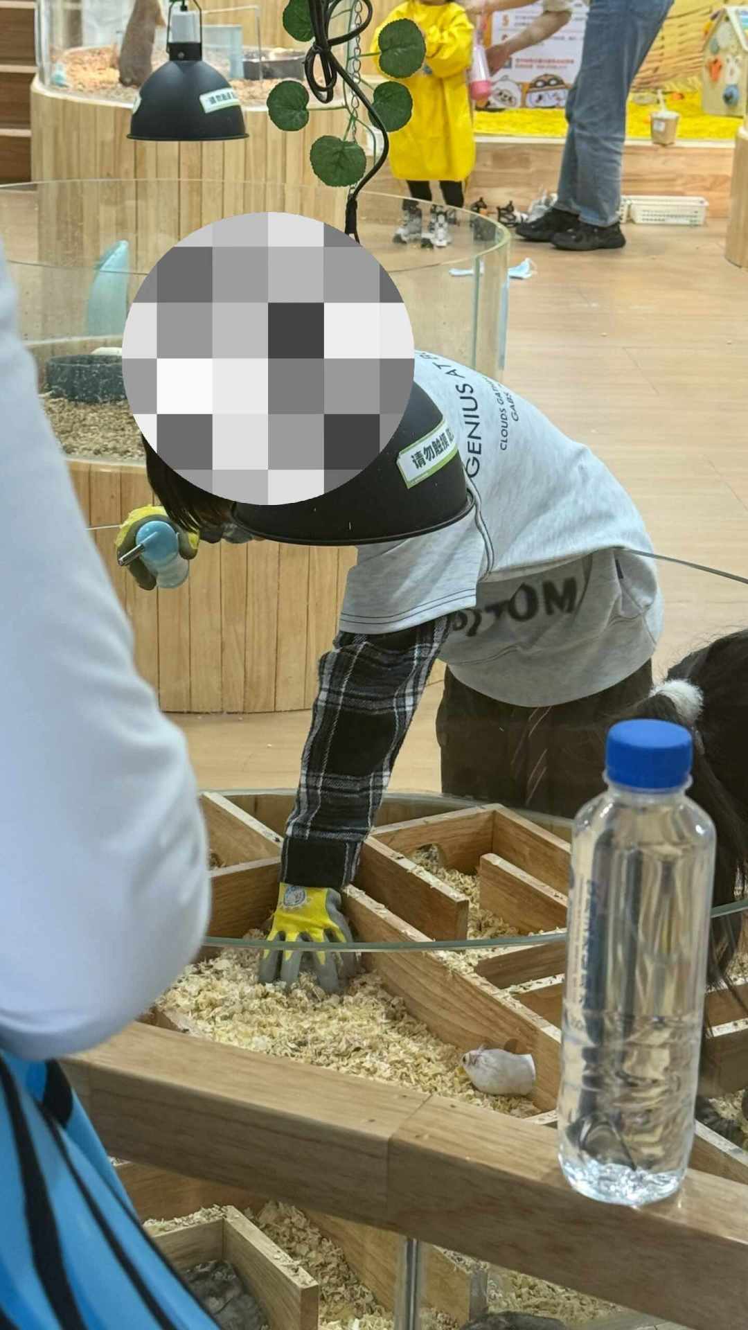 中秋遛娃的新赛道,是带娃去