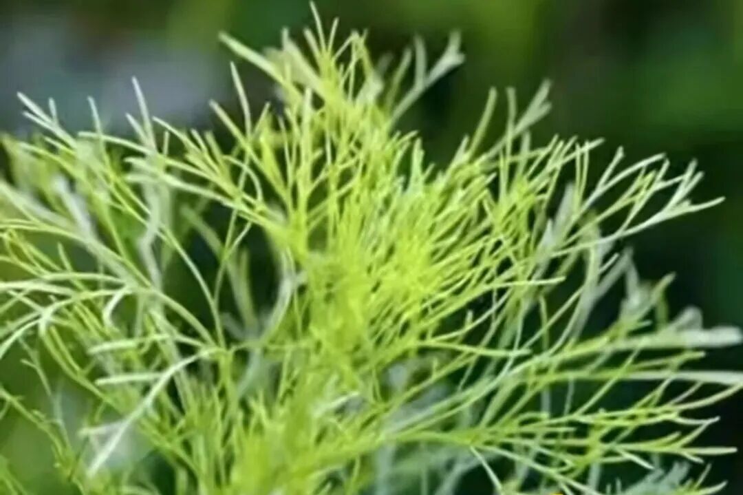 38篇私藏遛娃地里15篇喊你