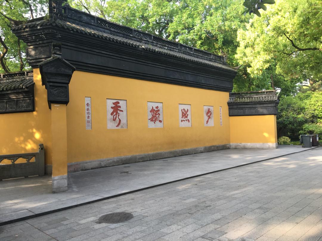 34年后全网重刷《新白娘子传奇》,这回戳中的不是白素贞:小青的「忘情」线为什么成年人越看越疼(附重刷指南)