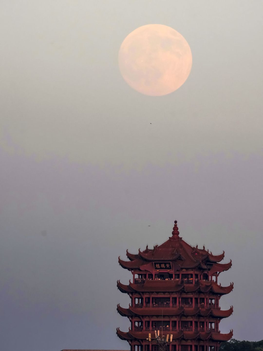 今年中秋的月亮十七圆:我核对了全网刷屏的16句“中秋诗”,9句其实不是写给中秋的