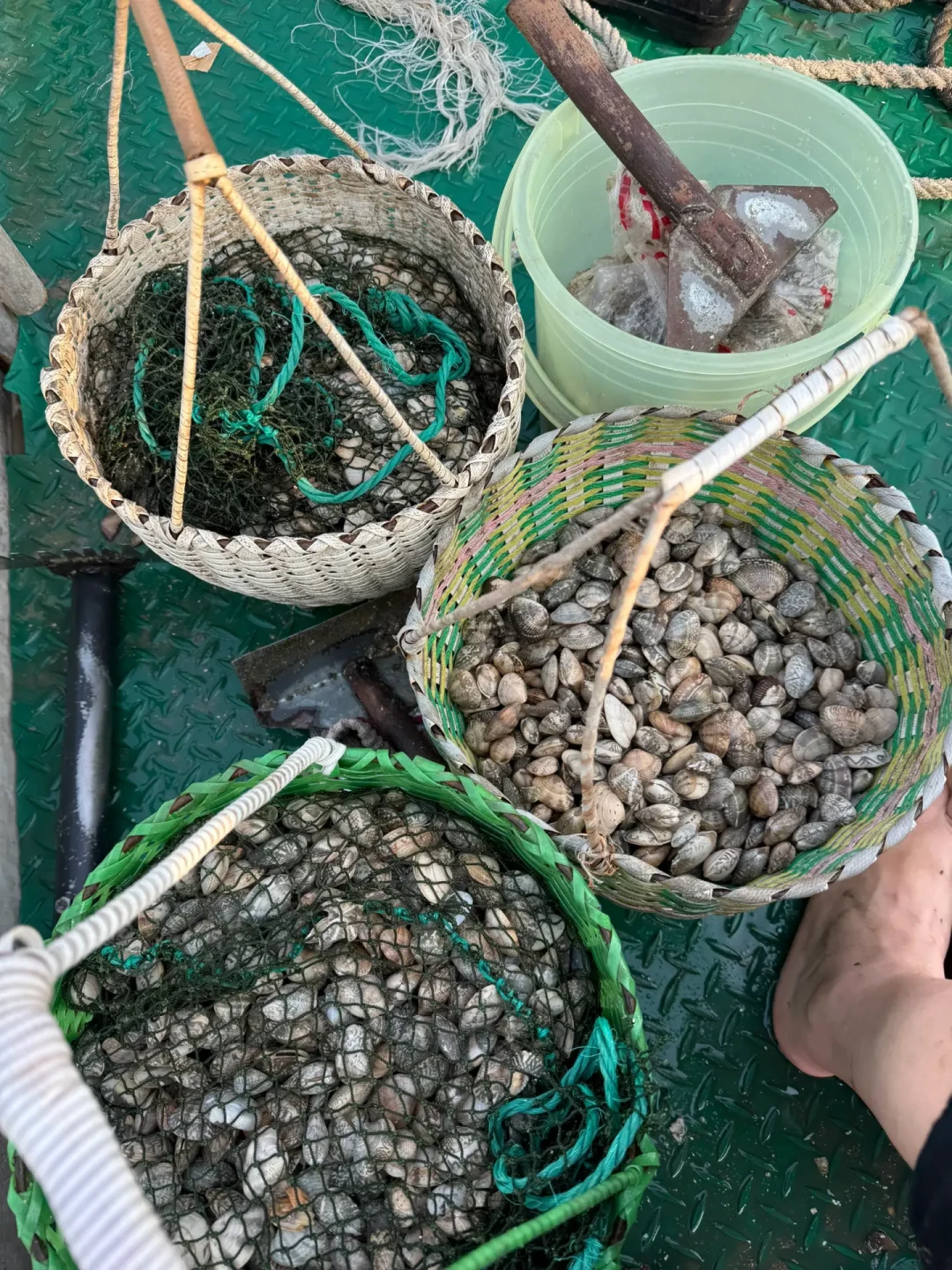 短视频里“一挖一麻袋”，这周的大潮值得追吗：挖蛤蜊新手最容易踩的三个坑