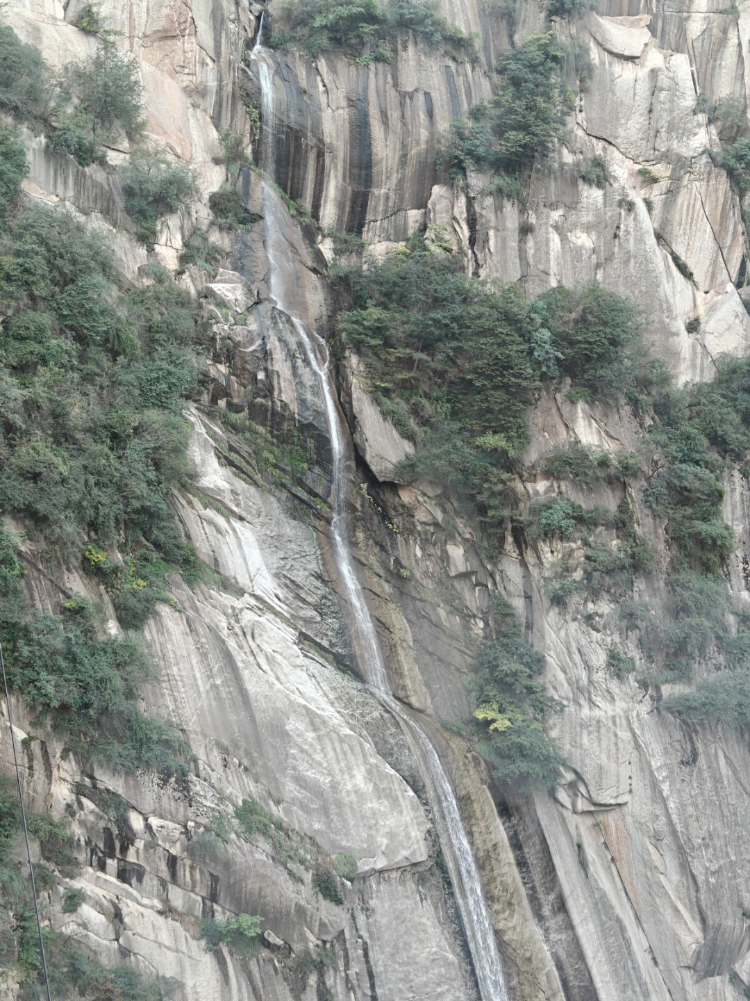 岳灵珊之死吵到9月:翻开原著《伤逝》一章,临终就三层话,两派各背了半页在吵
