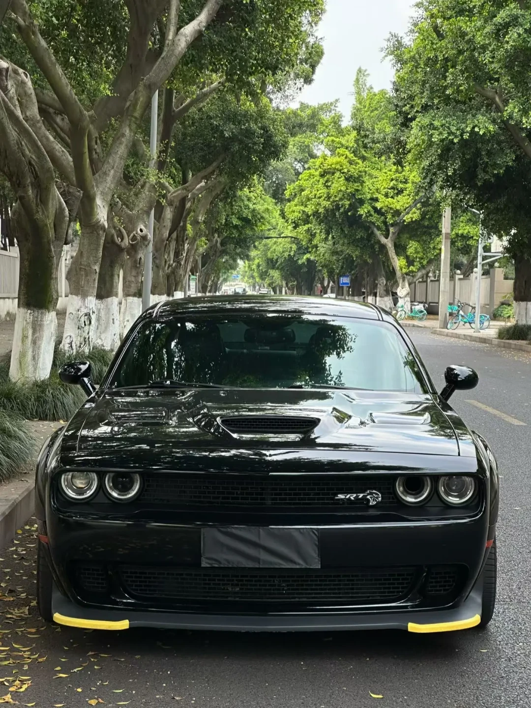 油价破百、真V8跌到60万:现在入手二手地狱猫和野马5.0,是捡漏还是接盘?