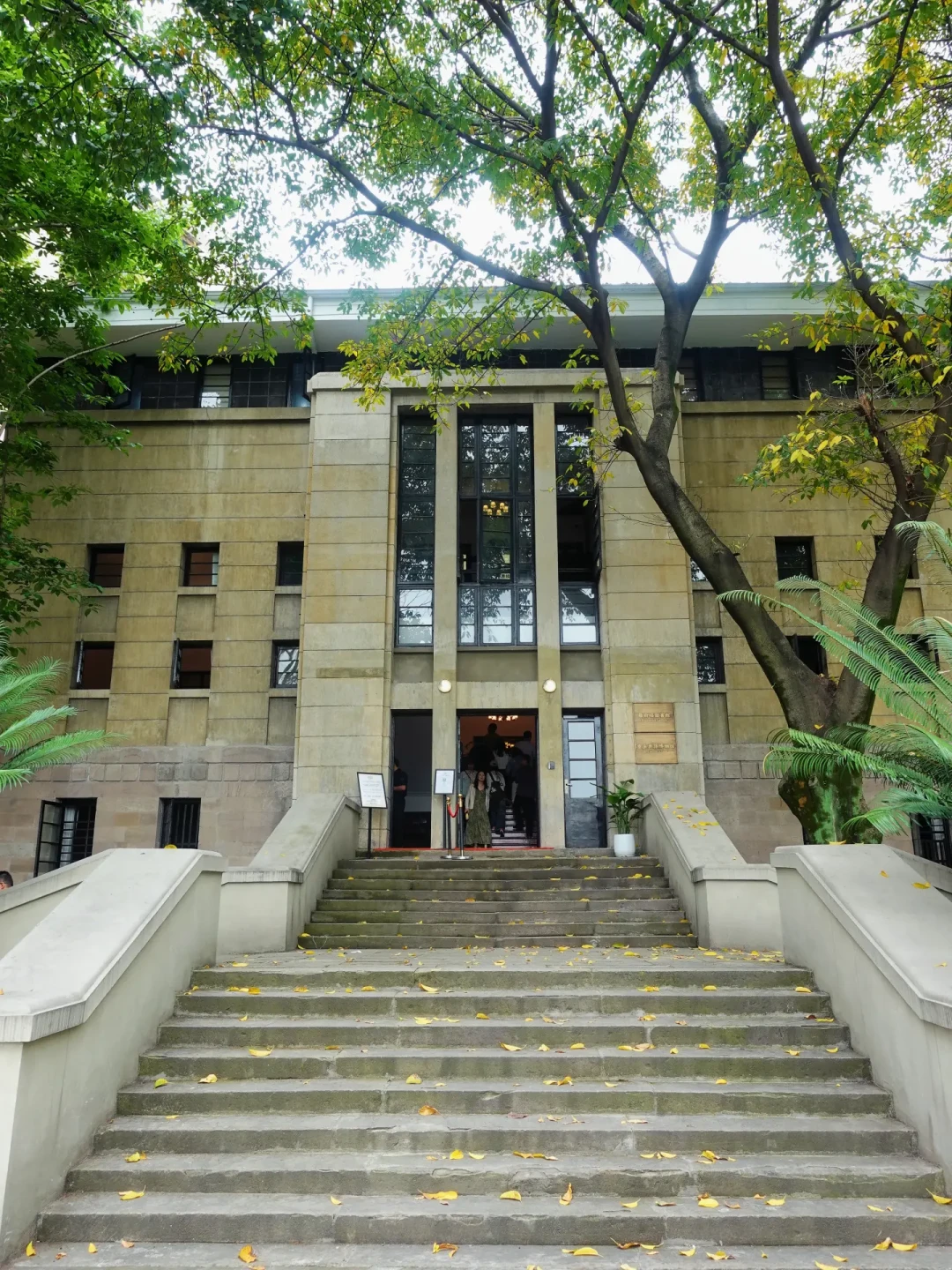 重庆的“罗斯福图书馆”焕新四个多月：谁要预约、能不能借书、值不值得专程去