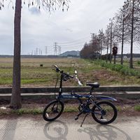 "被折叠车拉爆"和"折叠车太慢不敢换"吵进了同一个评论区：翻完全网292瓦赛段帖、均速53冲刺帖和427条换车楼，我把4档速度、3本账、4种人、4条红线理清了