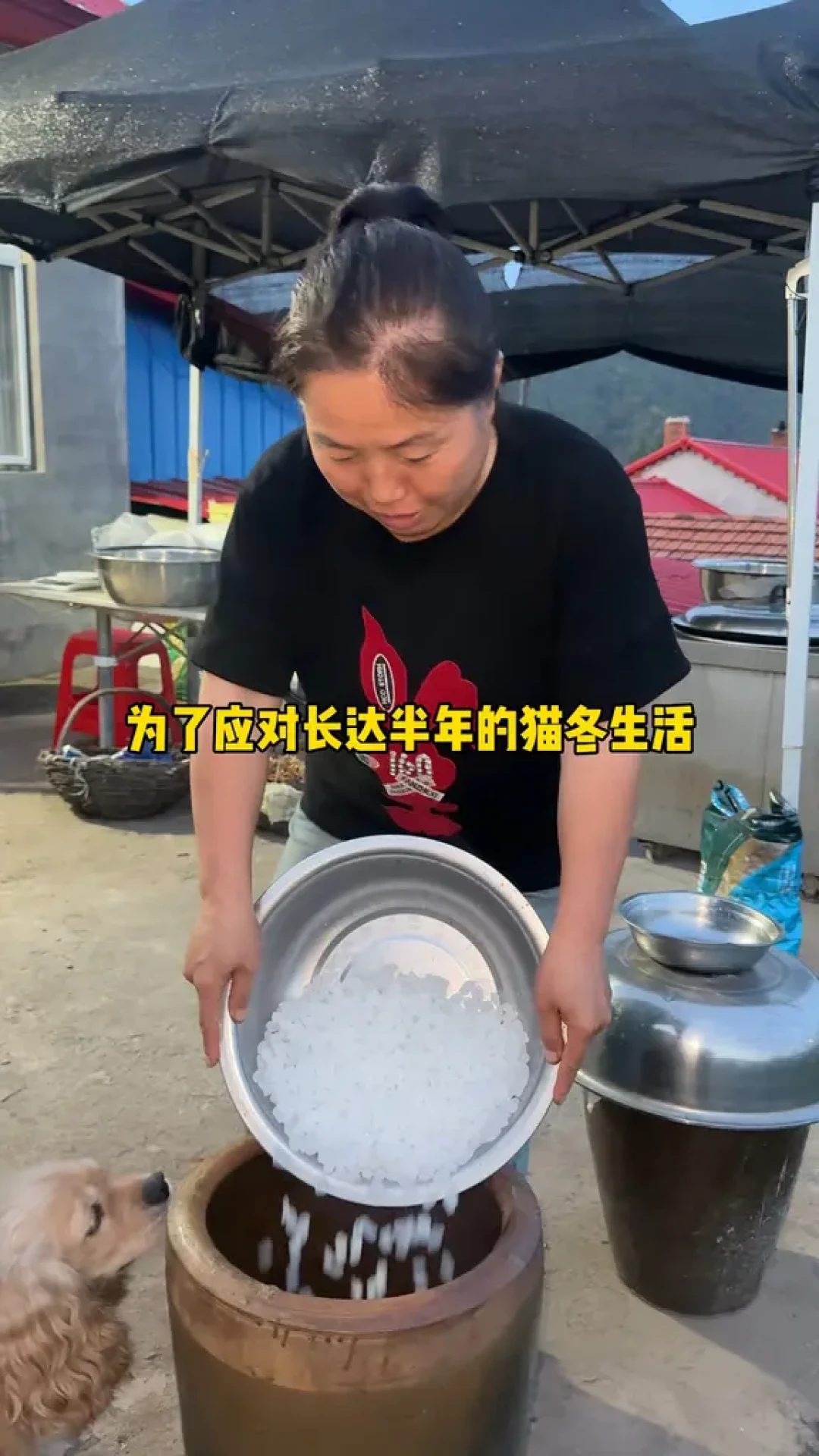 爸妈那坛