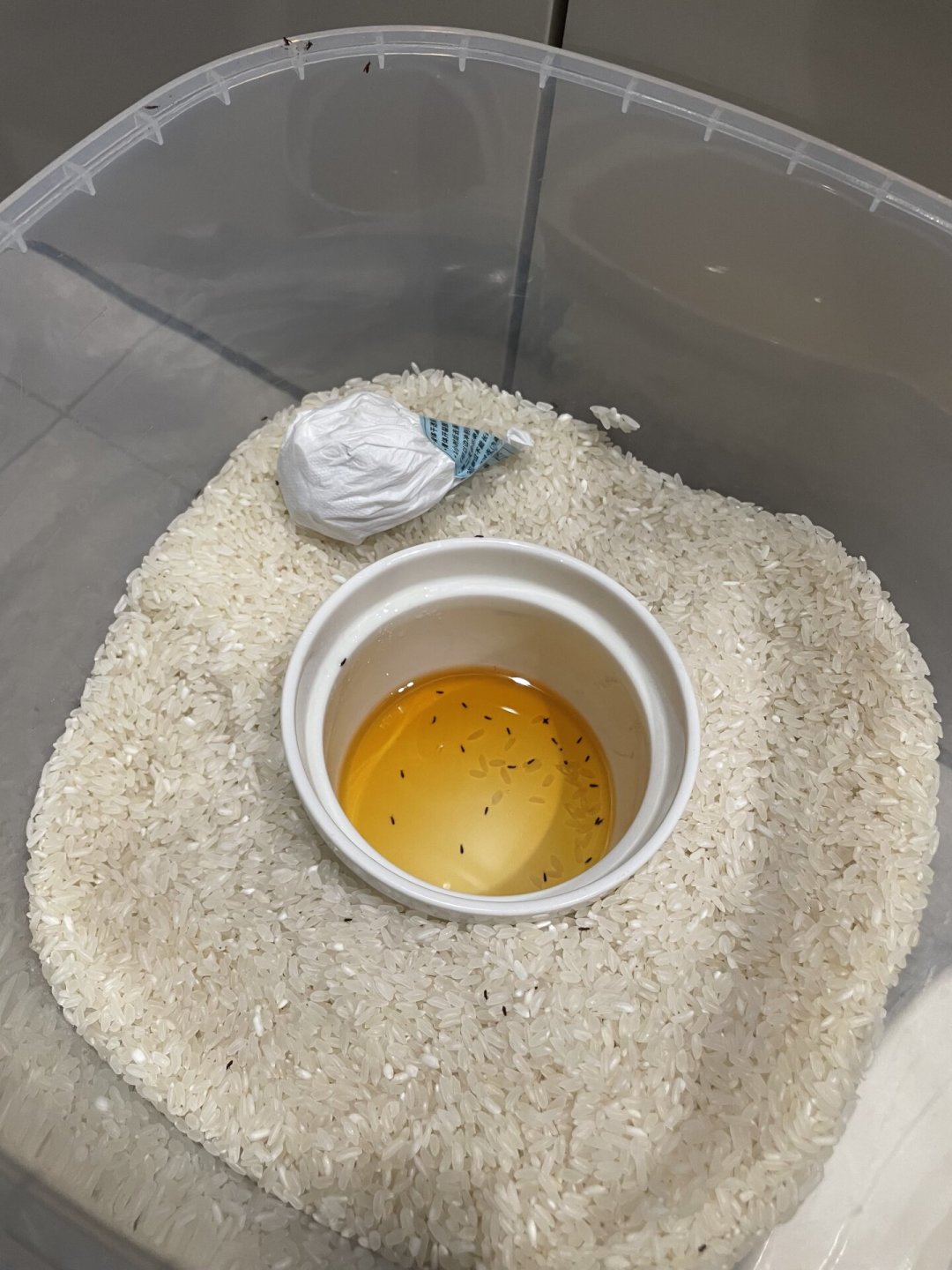 米缸生虫还能吃吗?先别暴晒、别急着换米缸:分清是虫是霉,再决定筛、冻还是扔