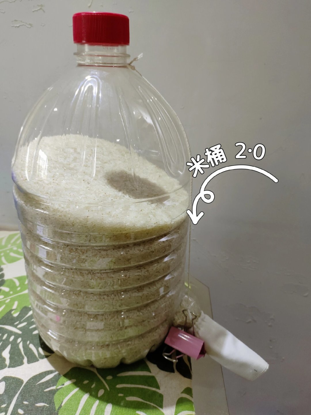 米缸生虫还能吃吗?先别暴晒、别急着换米缸:分清是虫是霉,再决定筛、冻还是扔
