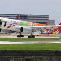川航A350缩到只剩6架：熊大飞去了海峡对岸，国庆前想坐“最后一批宽体”先对好这些尾号