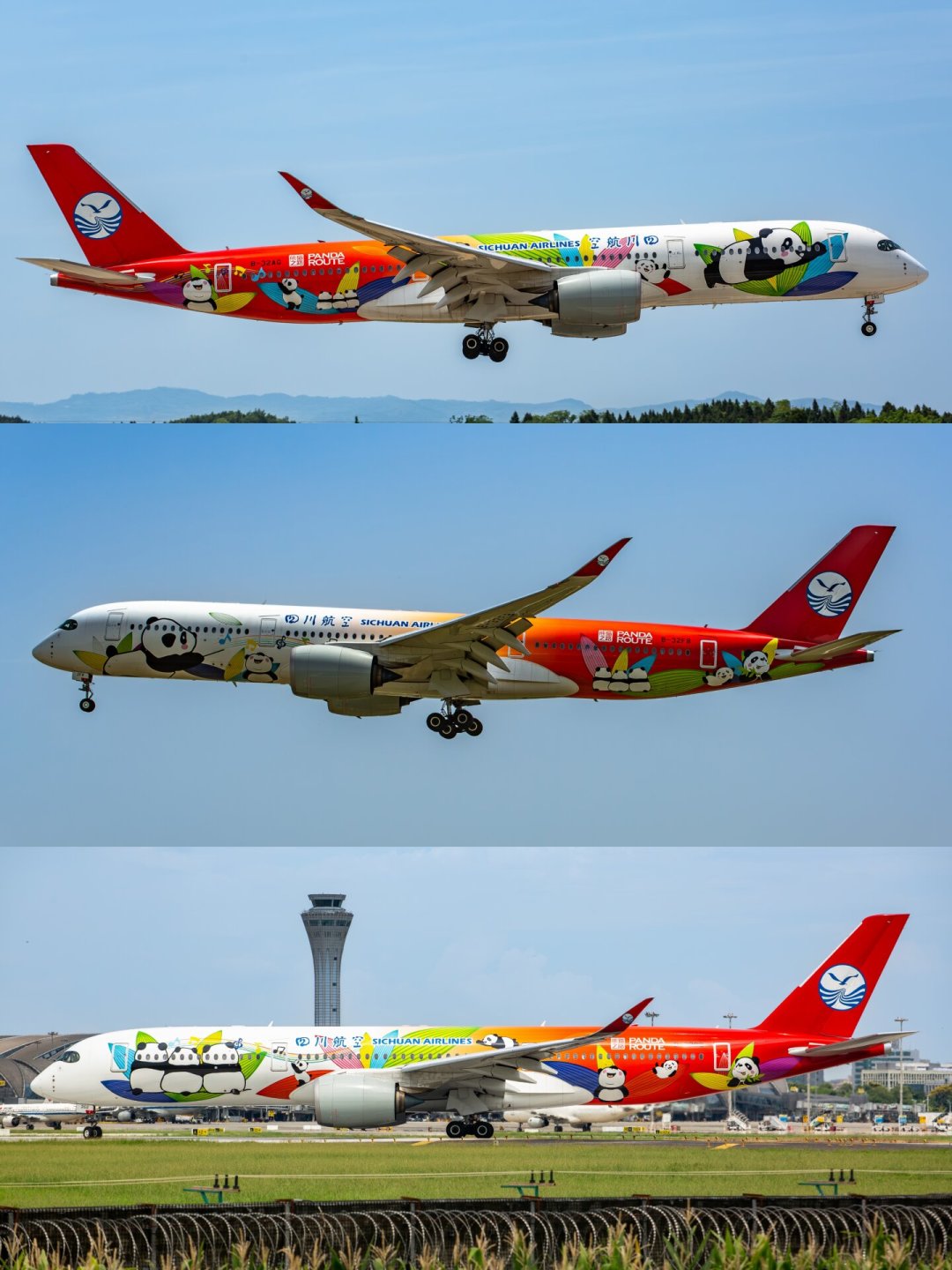 川航A350缩到只剩6架：熊大飞去了海峡对岸，国庆前想坐“最后一批宽体”先对好这些尾号