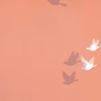 《蓝溪镇》完结套装239.9元:八年的罗小黑前传,这笔钱你该按“第几档粉”来花