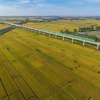 国庆去北大仓追一片金色稻田，唯一的坑叫“白跑”：6片田的2026开镰窗口和4档路线，我核完了一遍