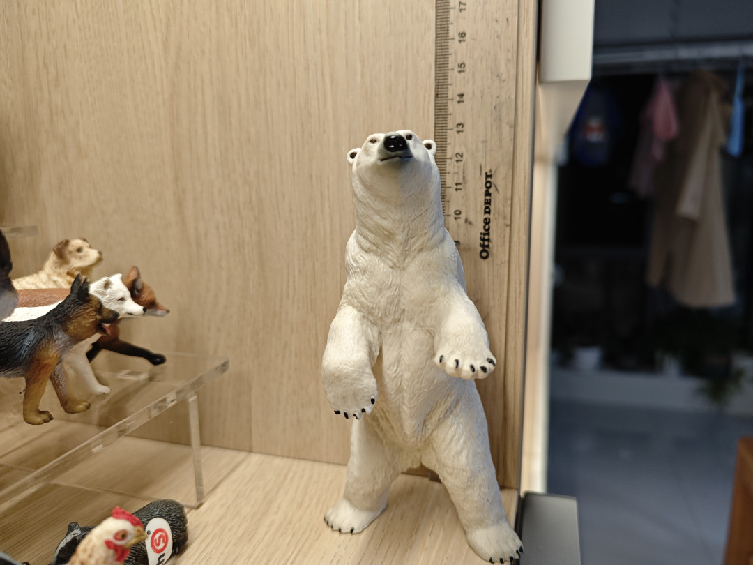同一只霸王龙,一只28cm一只93cm:混摆动物柜的第一坑,是你以为