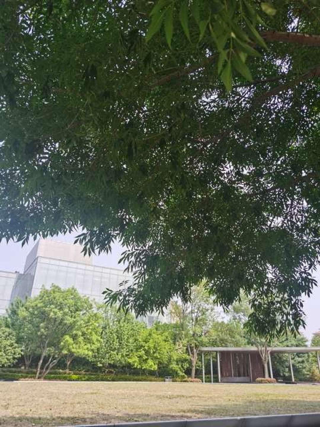 北京的广告牌集体