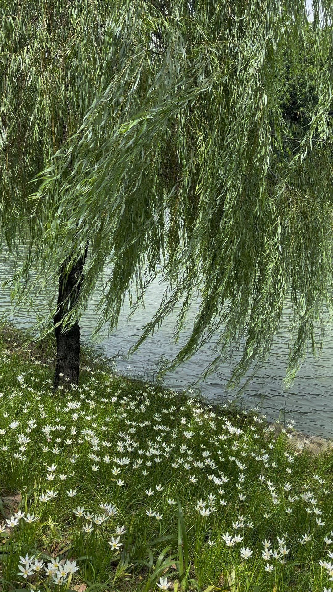 北京的广告牌集体