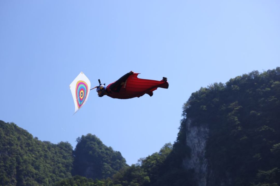 官方说