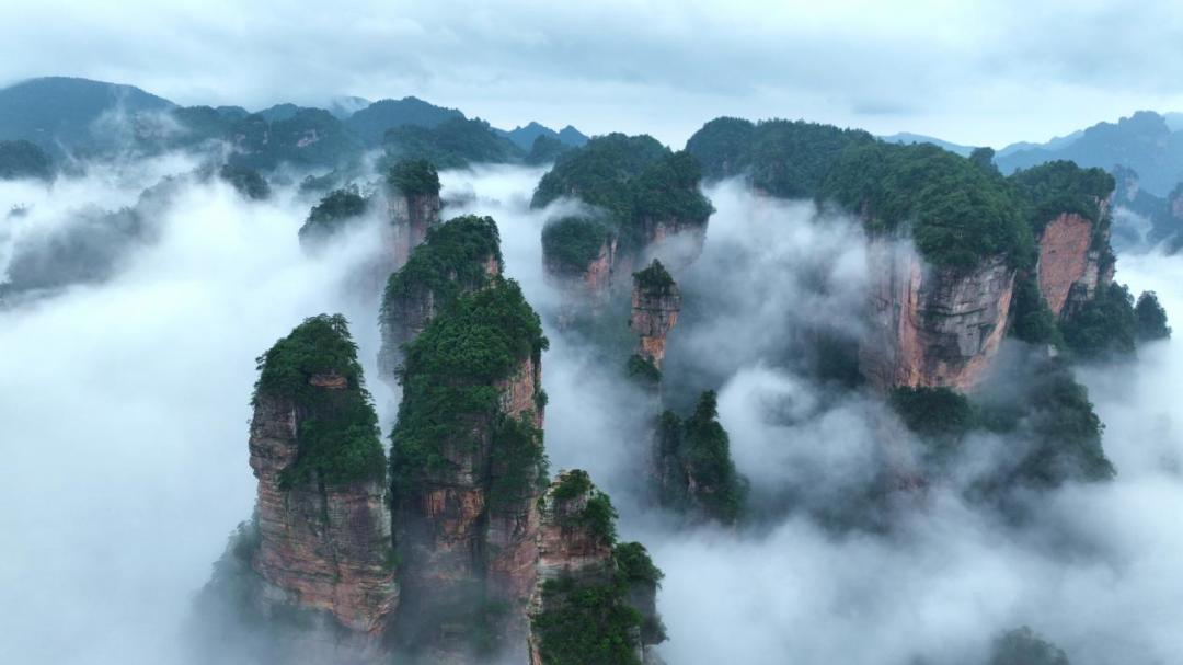 官方说