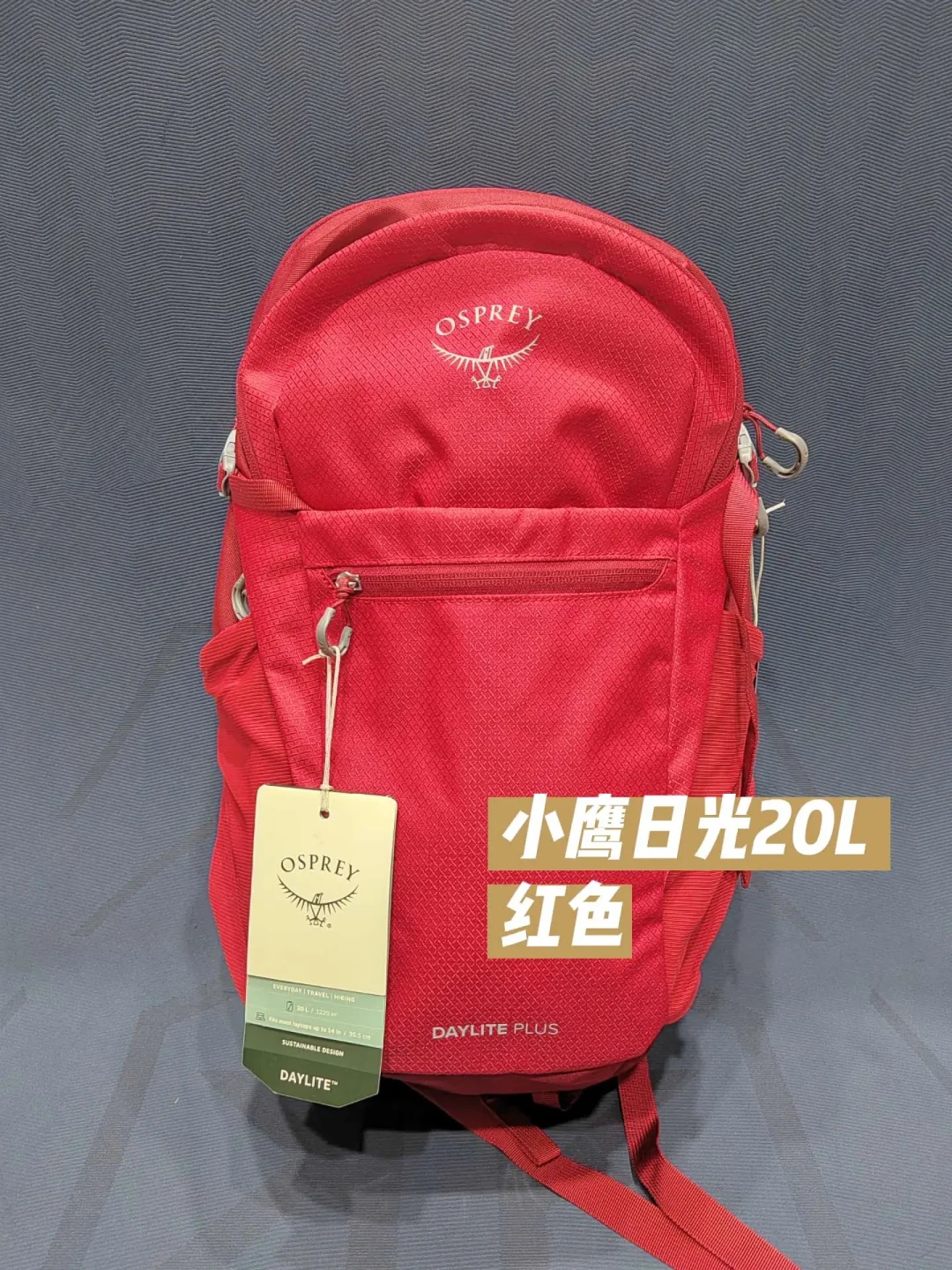 新款贵了200多,却一个充电宝就到顶:小鹰换代三个季度后,交叉读新老上手对比,把新旧款、LT和清仓窗口最后一段账一次对完