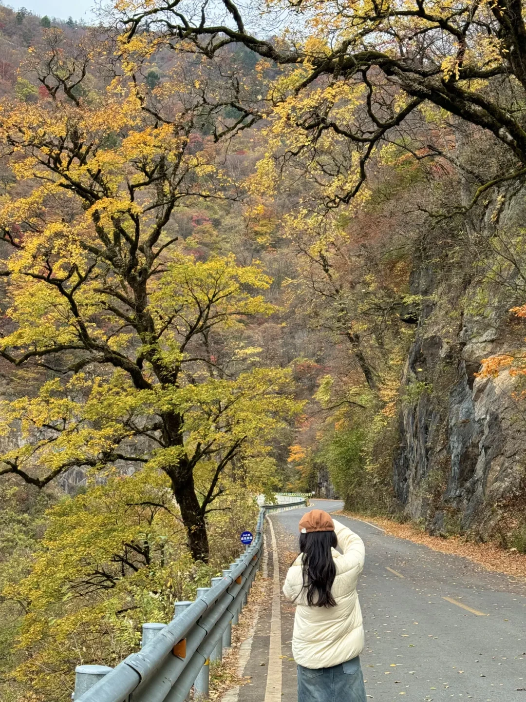 中秋高速通行费不减免、错峰窗口车票明天开卖：今年双节游华中，先把