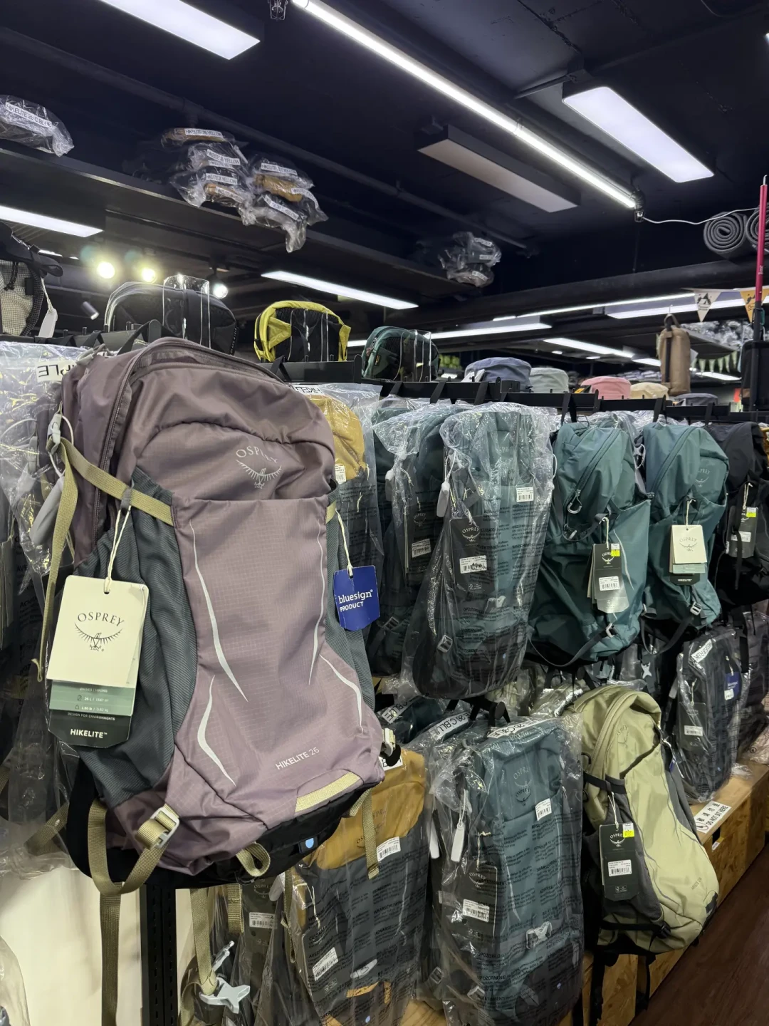 ¥305的香港日光、¥1790的首尔小鹰：国庆出境