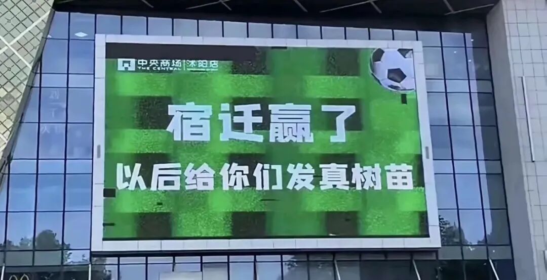 九月“直播间买花”避雷帖集中爆出:别再拉黑“沭阳发货”,今年查结构不查地图