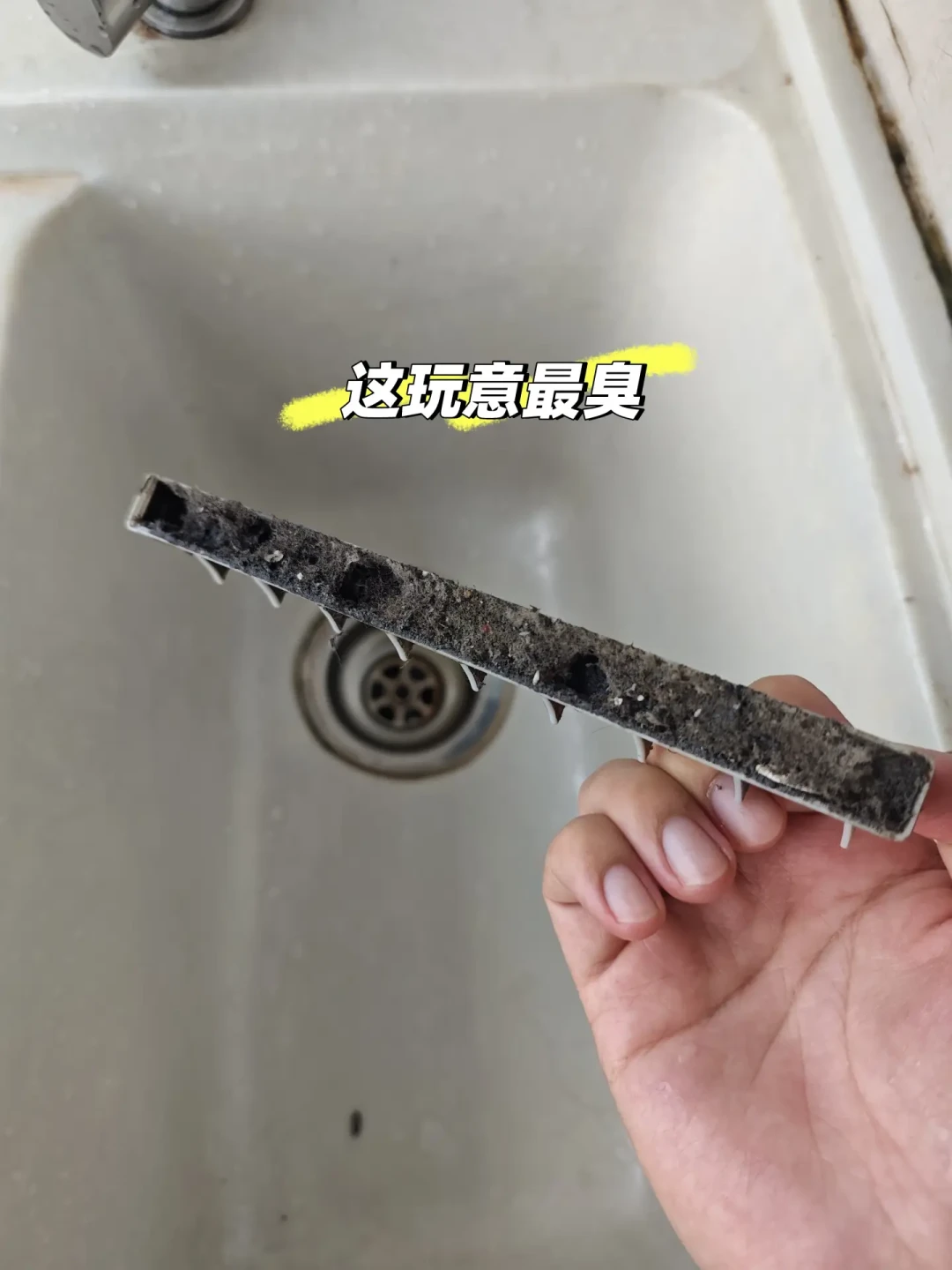科沃斯