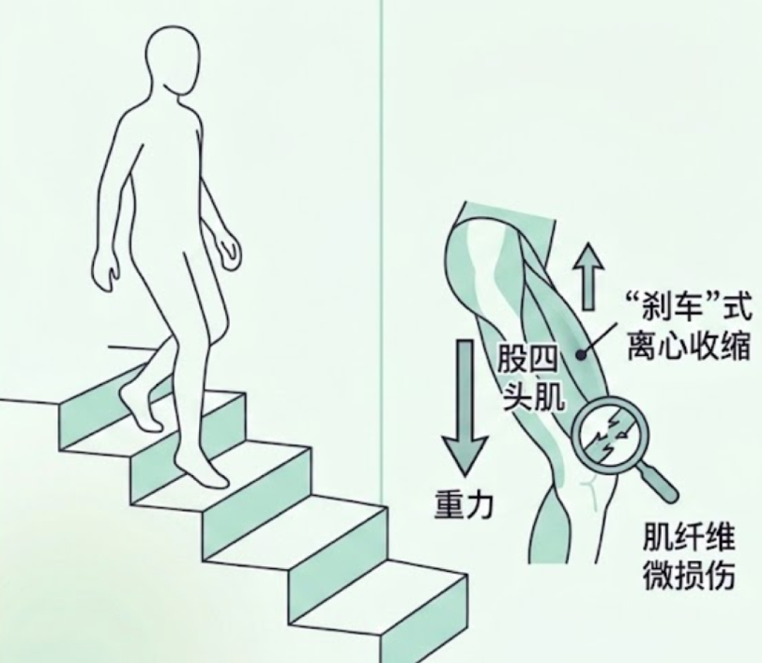 两周7个提问,全在问