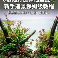 沉木森林、半水实验 | 水族造景9.14日报