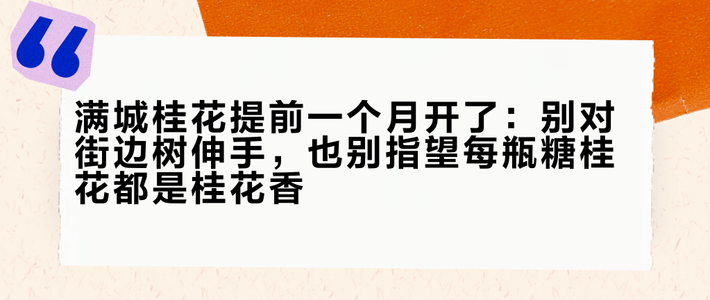 满城桂花提前一个月开了：别对街边树伸手，也别指望每瓶糖桂花都是桂花香