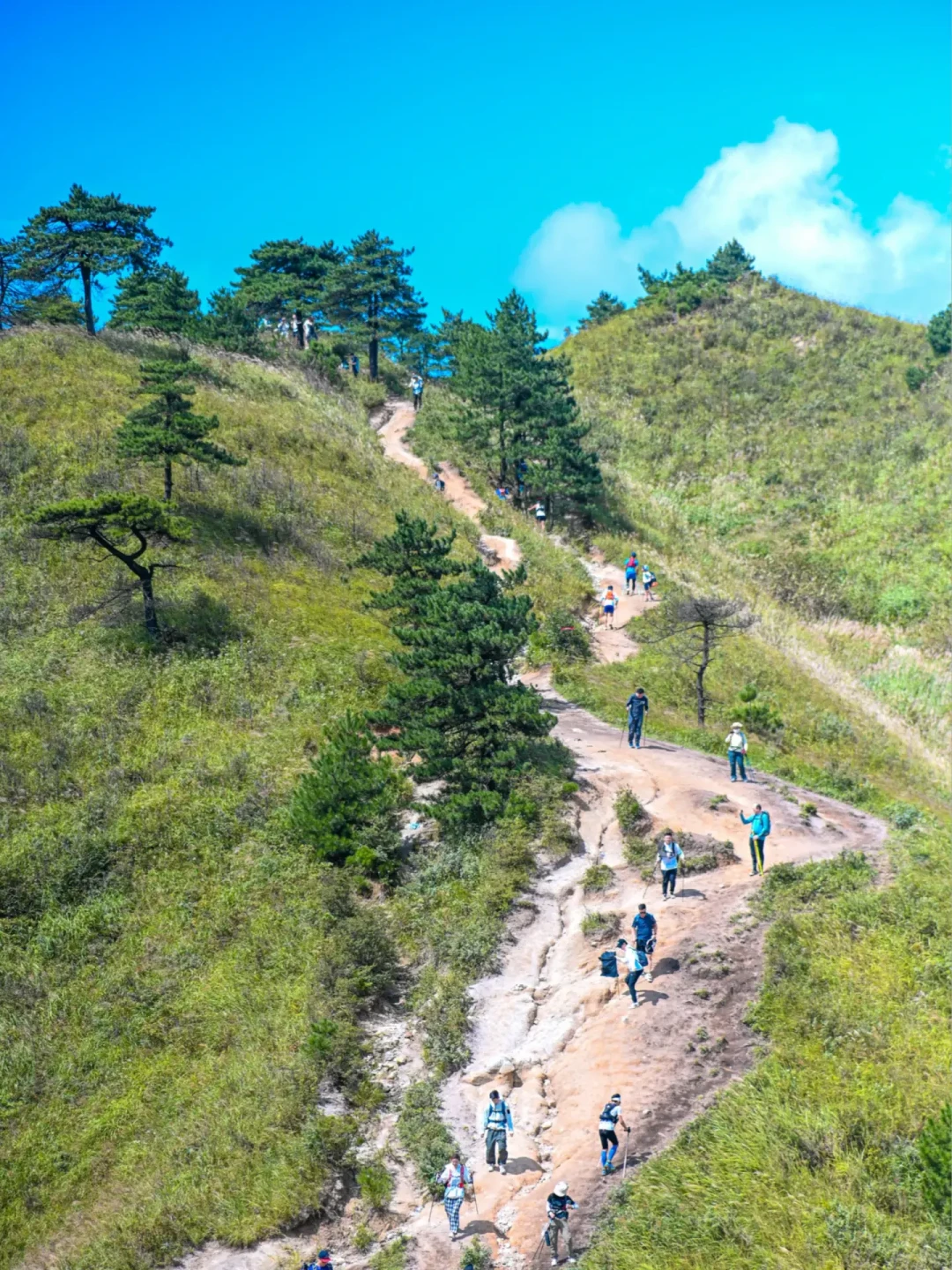 种草帖说越野鞋取代徒步鞋,吐槽帖里2000多的LOWA雨天摔三跤:入秋买鞋前,先按你走的路把钱花对