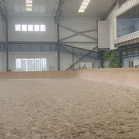 地铁站旁开马场、1498元畅骑季卡、马术馆隔壁是撸猫馆：对完9月这波10城的“进城马馆”价签，谁受益、马养不养得活，一次摊开