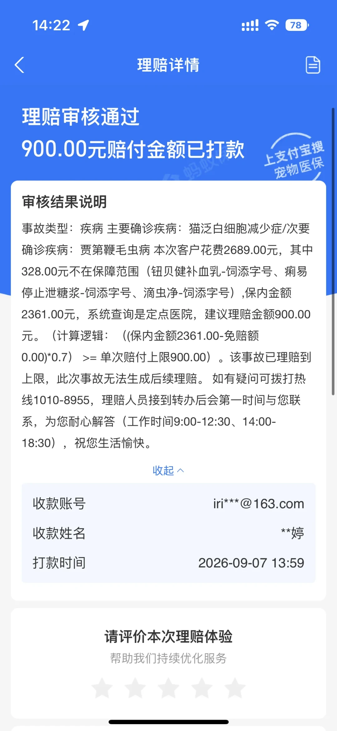 6万换髋、2000报销上限:大型犬家庭最担心的那笔账,宠物医保偏偏不赔