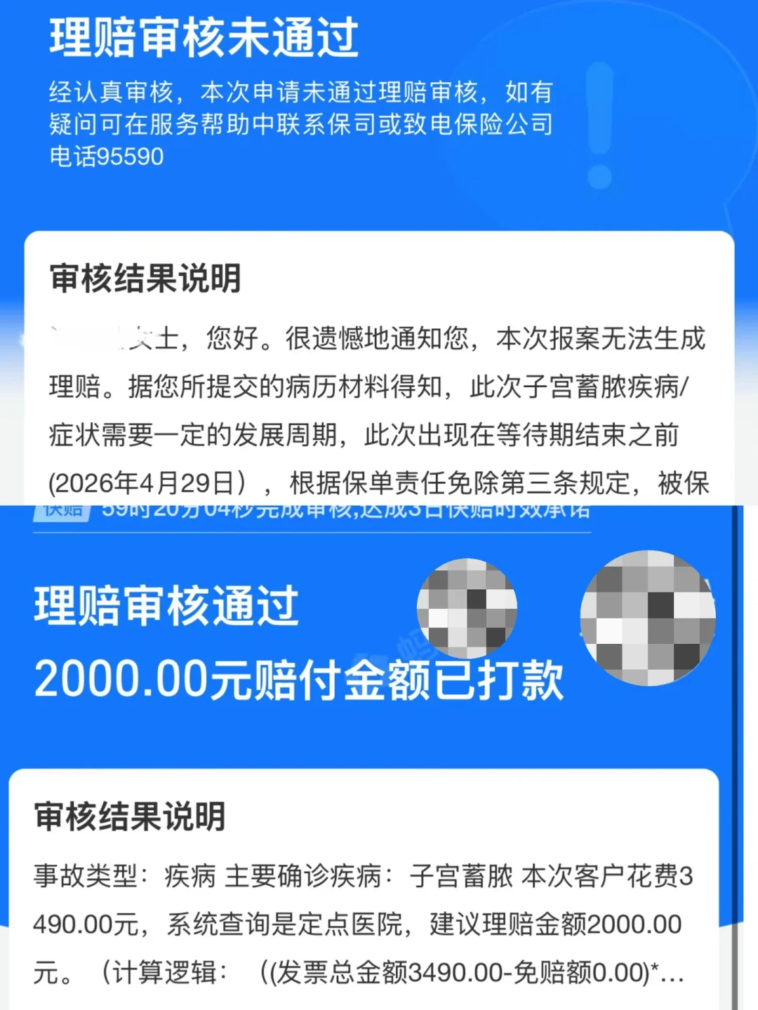 6万换髋、2000报销上限:大型犬家庭最担心的那笔账,宠物医保偏偏不赔