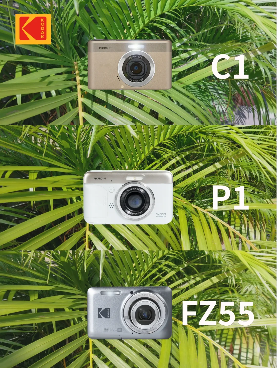 官方同场景C1/P1/FZ55直出对比
