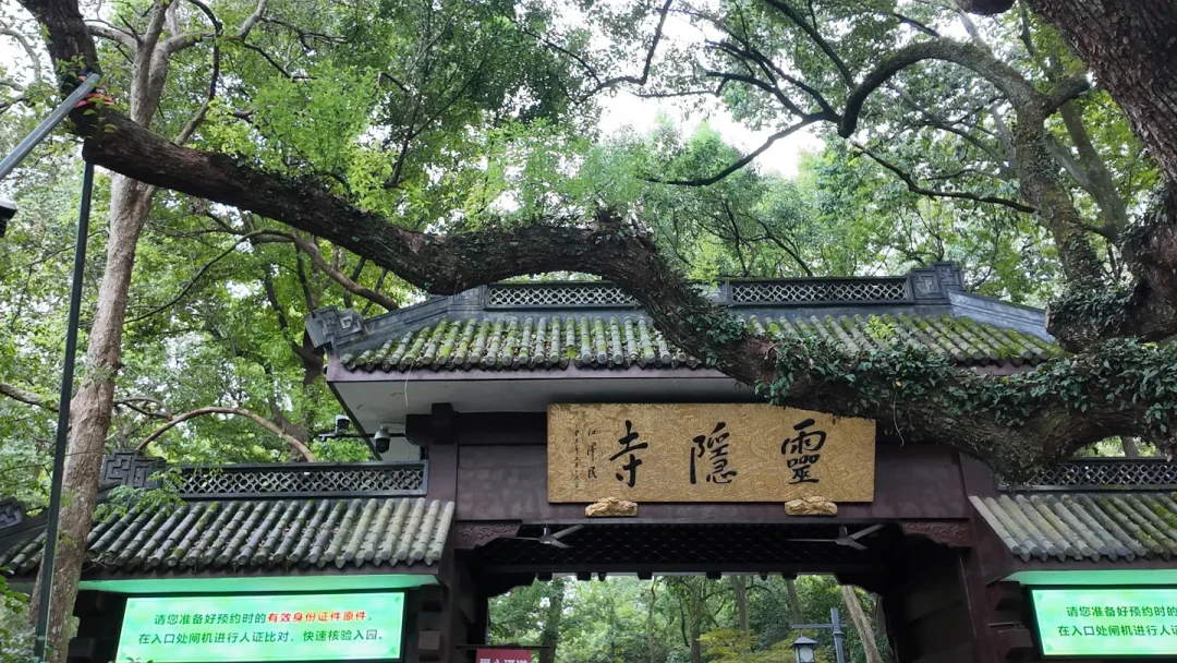 禅意旅行的全年低点在中秋前的11天:普陀山回到160、机票比国庆低五成,窗口期这笔账算完,再决定要不要等假期