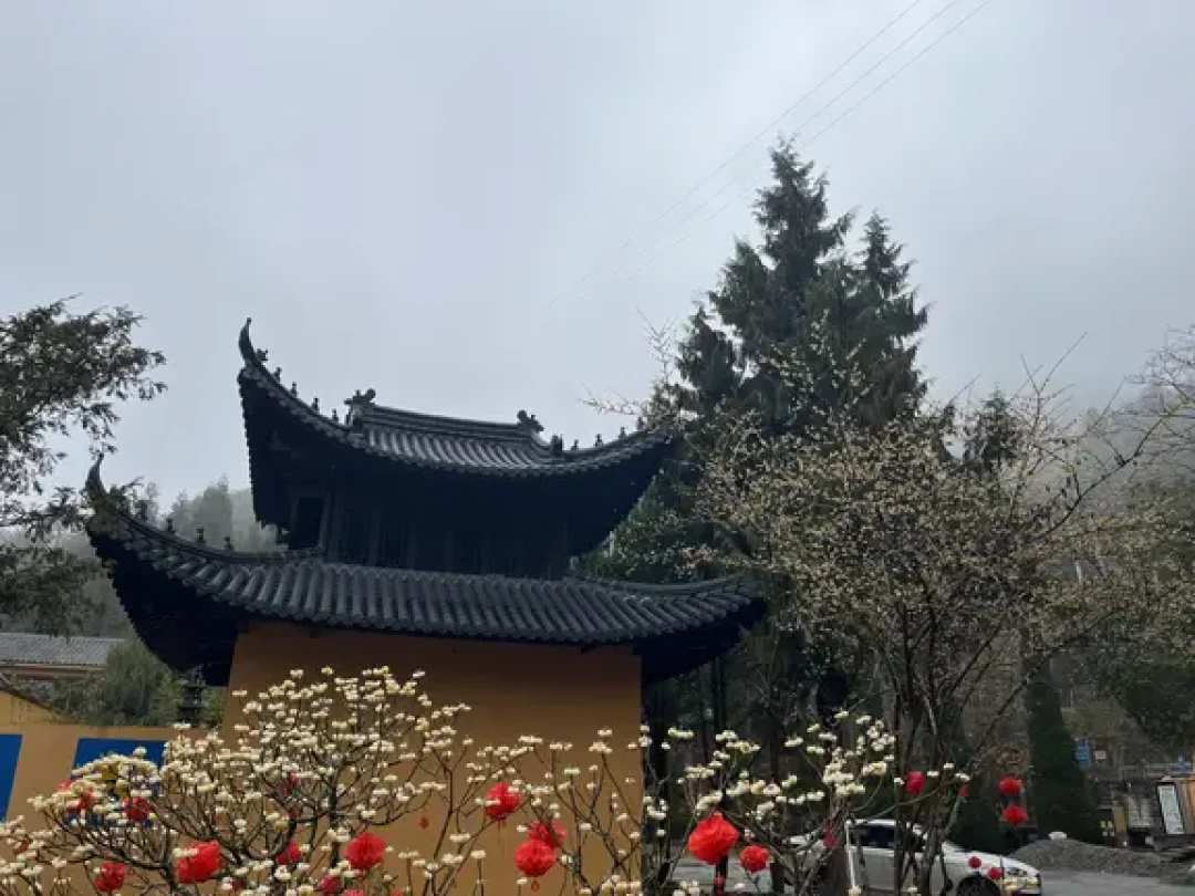 南台的挂单寮房拆了,“国庆挂单攻略”却在今早发出:2026寺庙挂单现状,先对完三笔账