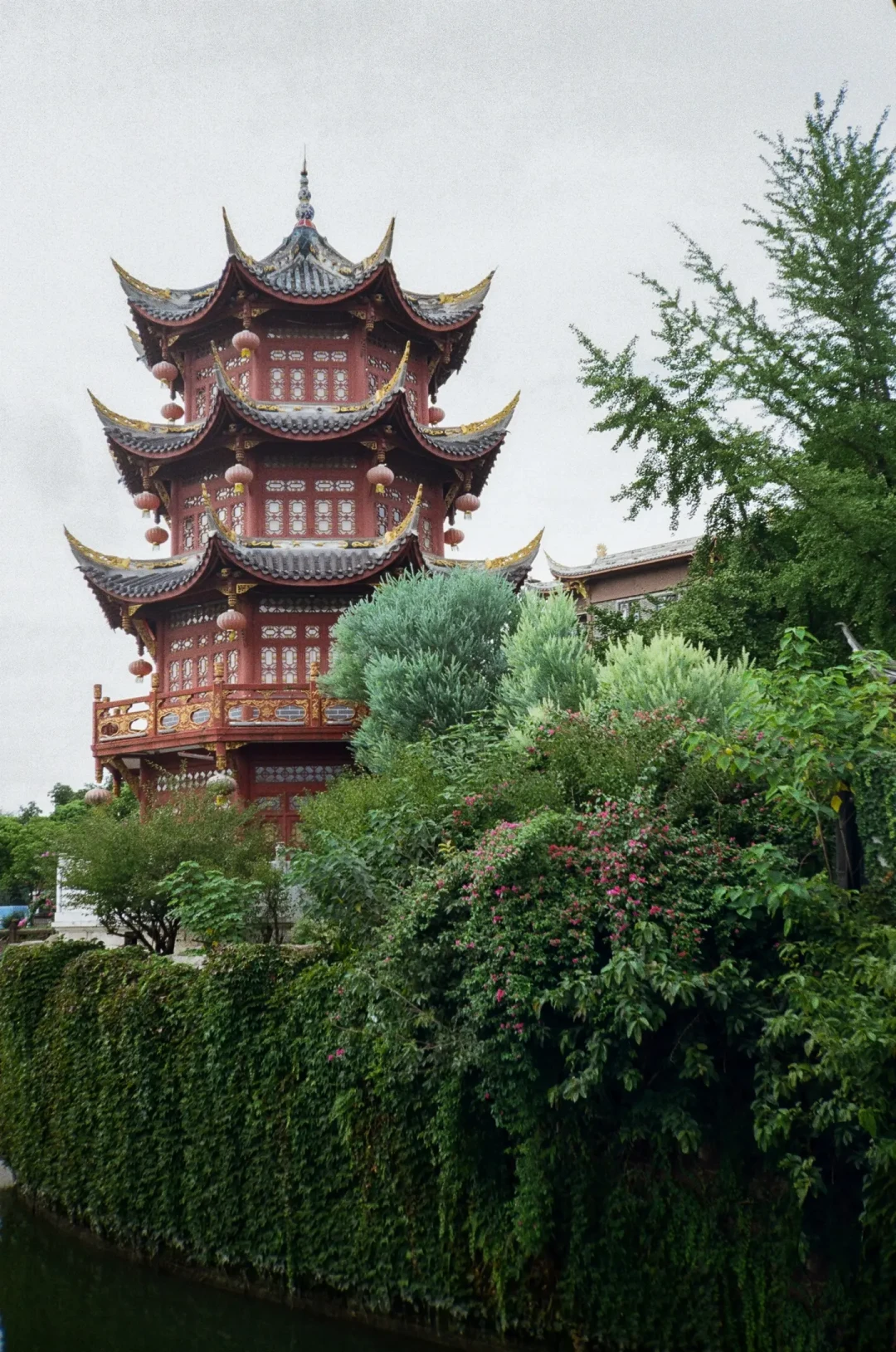 十一前18天,胶卷撞上