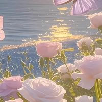 油痘敏肌黄黑皮适配 4支平价香氛沐浴露控油提亮自用分享