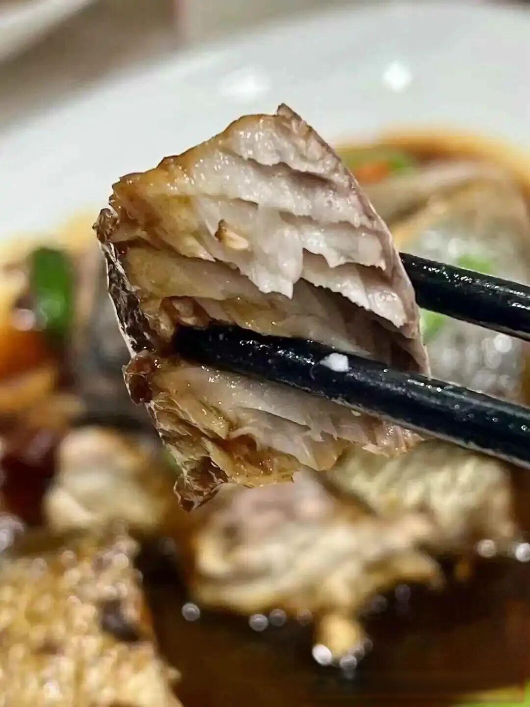 新手海钓钓起2.8斤野生大黄鱼,价值超千元当晚直接做成美食