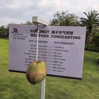 钛金升级与度假避坑 | 万豪9.14日报