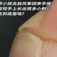 这就是你买给小孩的风筝