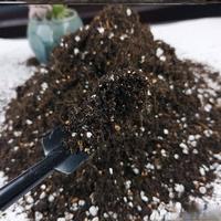 别怪浇水了！小盆栽烂根黄叶的元凶是土，一个公式搞定配土难题