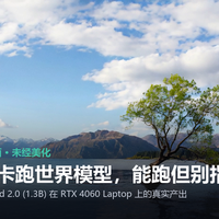 RTX 4060 8GB本地跑世界模型：3个坑、2个必须开的参数、1套完整流程