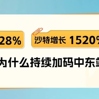 阿联酋增长328%、沙特增长1520%，这家中东卖家做对了什么
